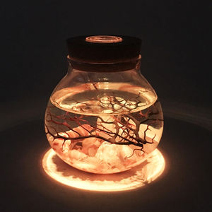 Hornbeam e conchiglie di mare in bottiglia con multi colore HA CONDOTTO LA luce di sabbia regalo di trasporto marittimo per la casa della decorazione della casa del regalo del desktop - Product Image 2