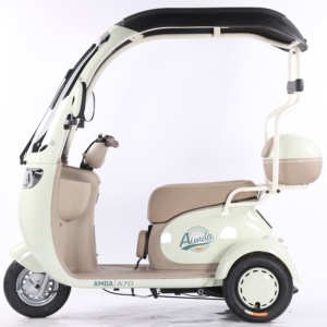 Triciclo eléctrico de 3 ruedas fabricado en fábrica china para transporte de carga y pasajeros - Product Image 3