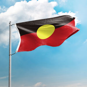 Рекламная реклама, наружный флаг страны, декоративные баннеры под заказ, двойные стежки, австралийские аборигенные 3x5 футов, полиэфирные флаги - Product Image 2