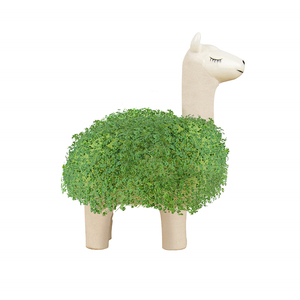 <span class=keywords><strong>Maceta</strong></span> <span class=keywords><strong>de</strong></span> Cerámica Pequeña para Interiores con Diseño Único <span class=keywords><strong>de</strong></span> Llama, Sprout, Munny, Anime, Chia Pet, Animales Personalizados, Decoración - Product Image 2
