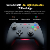 Control de Juego Inalámbrico OEM de 2.4GHz con Botón Turbo y Giroscopio de Seis Ejes para Nintendo Switch, Suministro de Fábrica PB