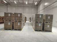 UE Rotterdam Stock Niveau 1 toutes les marques 450 Watt 425w 430w 435w 440w 445 Watts Mono Pv Modules Vertex S Plus Trina Panneaux solaires 450 w
