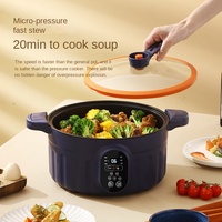 Marmite Électrique Portable 4L 1300W en Acier Inoxydable Antiadhésive avec Contrôle Numérique et Couvercle en Verre Trempé, Classe Énergétique A, Garantie 5 Ans - Offre Spéciale