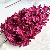 Hortensias séchés naturels de haute qualité, prix de gros, 25 cm+, pour la fête des mères, Thanksgiving, la Saint-Valentin