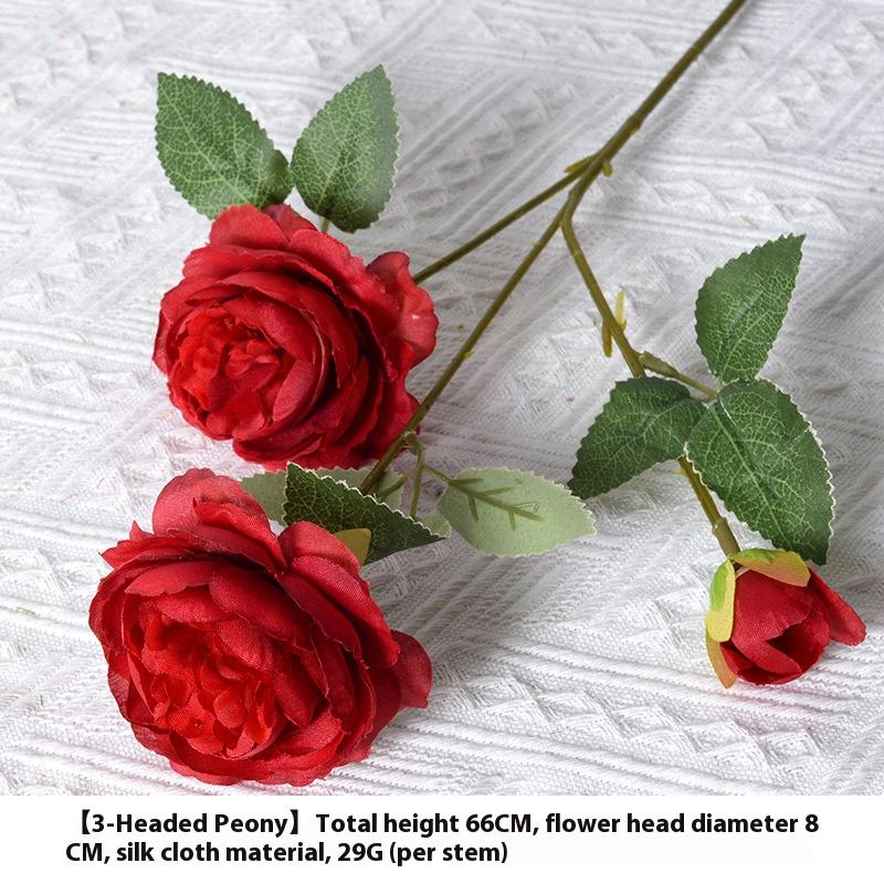 El rojo de la peonía extranjera