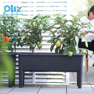 Macetas de Plástico Baratas Oliz, Macetas Grises para Plantas de Jardín y Vegetales con Autorriego - Product Image 5