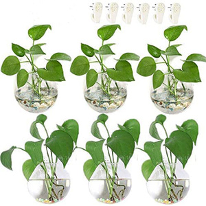 Wholesale Wall Hanging Planters Glass Terrariums Plants Holders Air Flowers <b>Vase</b> Containers - Product Image 1