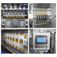 Automatic Sugar Sachet Packing Machine Gluing Filling 4 Side Seal Multifunctional High Productivity 10g Packets for Vanilla