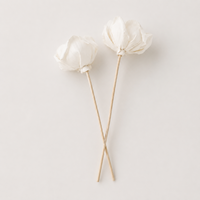 Diffuseur d'arômes en rose de bois de Sola naturel de 6 cm, roseaux en rotin, parfum durable, décoration, en stock, vente en gros