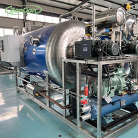 Gratis Vriesvacuüm Voedsel Industriële Vacuümvriesdroger Sublimatiekamer Vriesdrogermachine Voor Oploskoffieolie