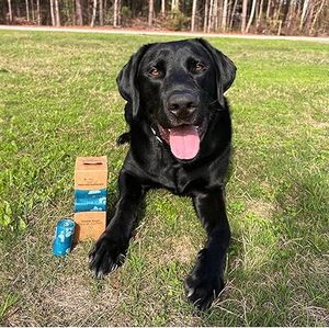 อะไหล่สำหรับรถเข็นสุนัข Huamaohengchun สำหรับพาลูกสุนัขเดินเล่นและเดินทางกลางแจ้ง ป้องกันการรั่วซึมและทนต่อการฉีกขาด ผลิตจากพลาสติกหนา สีฟ้าอมเขียว - Product Image 6