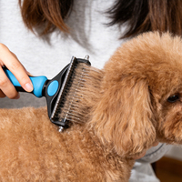 Brosse de toilettage pour chien Histotree RQ-Q26008 de luxe, double face, en acier inoxydable, écologique, avec logo personnalisé