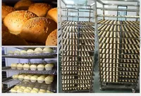 32 쟁반 회전하는 오븐 가격 가스 판매를 위한 전기 큰 자전 빵집 회전하는 선반 오븐 굽기 덩어리 빵 빵집 산업 오븐