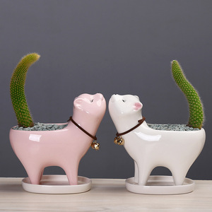 Maceta de Cerámica <span class=keywords><strong>con</strong></span> Diseño de Cola de Gato para Suculentas y Cactus, Adorno Decorativo para el Hogar u Oficina, 7cm <span class=keywords><strong>X</strong></span> 12.7cm - Product Image 2
