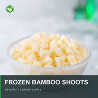 SHARP DRAGON IQF Légumes surgelés : Légumes de bambou |   Tranches, bandes et formats coupés en vrac pour les acheteurs mondiaux