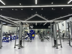 Giảm Giá Lớn Tùy Chỉnh Màu Sắc Sức Mạnh Rosen Tập Thể Dục Trọng Lượng Selectorized Pin Nạp Có Thể Điều Chỉnh <span class=keywords><strong>Crossover</strong></span> Với Miễn Phí Phụ Tùng - Product Image 2