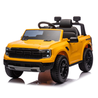 2024 Nouvelle voiture électrique F-150 sous licence
