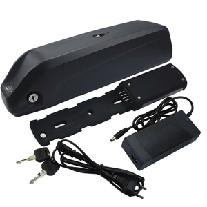 定制24V 36V 48V 8Ah 10Ah 20Ah 30Ah银鱼型锂离子电动自行车电池组（适用于电动自行车） - Product Image 1