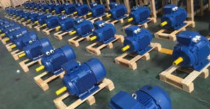 Công suất cao điện áp thấp ba pha không đồng bộ hiệu quả nổ động cơ - Product Image 6