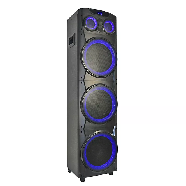 T Professional 10 Inch Outdoor Wood Cabinet Portable Speaker 100W Wireless Karaoke DJ Bluetooth Party Speaker