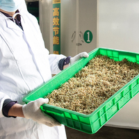 Sirop de maltose élevé 85% 87% Arôme liquide sucré Stabilisateurs épaississants Halal Matériel de boulangerie Prix bas Emballé en vrac Bouteilles
