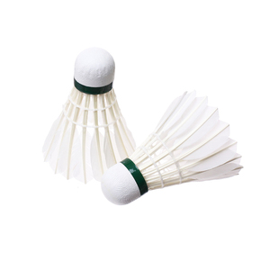 Cầu Lông Có Thể Gập Lại Bán Sỉ Cầu Lông Cầu Lông Rsl - Product Image 3