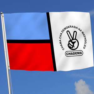 Drapeau de l'élection présidentielle Offre Spéciale africaine en Tanzanie 3x5ft 100% polyester impression recto verso - Product Image 4