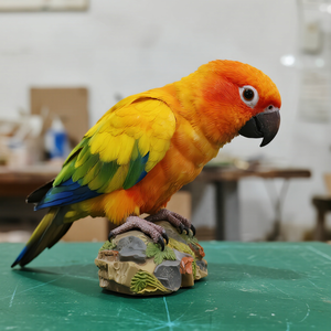 Parc à thème personnalisé grandeur nature Simulation animale animatronique modèle réaliste d'oiseaux perroquet pour la vente d'affichage de zoo - Product Image 5