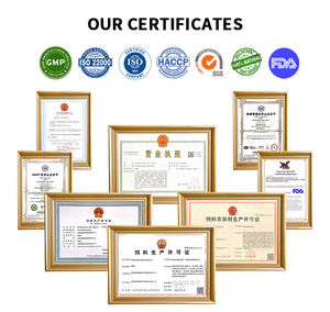 Doğal Organik Evcil Hayvan Antibiyotik Takviyesi Damlaları - OEM/ODM Mevcut, Tüm Irklar ve Yaş Kadroları için Özelleştirilebilir Formül - Product Image 6