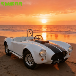 SWICOO Mini-voiture Cobra haute performance 2200W, avec bandes personnalisées, Buggy 2 places de qualité, Voiturette de golf Beetle - Product Image 5