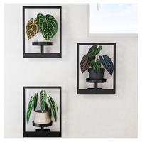 Cadre mural en métal Porte-photos pour plantes Décoration extérieure de la maison Jardinière murale Étagères décoratives pour fenêtres Support pour plantes en métal suspendu