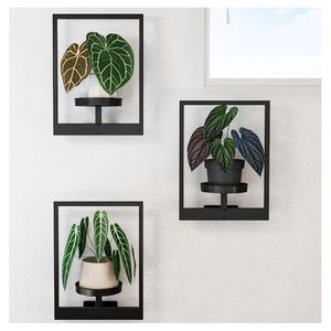 Cadre mural en métal Porte-photos <span class=keywords><strong>pour</strong></span> plantes Décoration extérieure <span class=keywords><strong>de</strong></span> la maison <span class=keywords><strong>Jardinière</strong></span> murale Étagères décoratives <span class=keywords><strong>pour</strong></span> fenêtres <span class=keywords><strong>Support</strong></span> <span class=keywords><strong>pour</strong></span> plantes en métal suspendu - Product Image 5