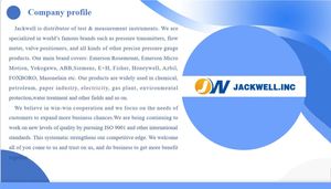 100% Original et nouveau capteur de pression Vegabar 29 avec cellule de mesure métallique - Product Image 5