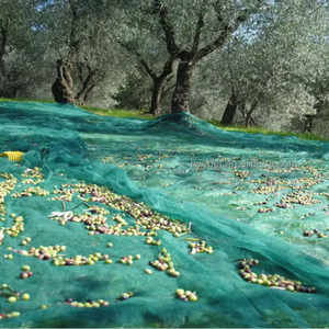 Bâche de récolte d'<span class=keywords><strong>olives</strong></span> robuste 6x100M - Bords et œillets renforcés pour une utilisation à long terme dans les vergers - Product Image 2
