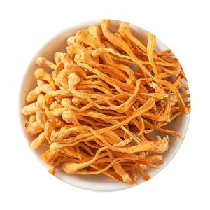 1KG Lose natürliche rohe Raupen pilz Cordy ceps militaris getrocknete Cordy ceps Blume zur Herstellung von Suppe - Product Image 1
