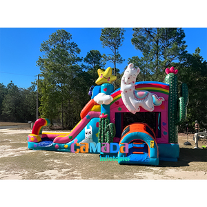 Alpaca Jumping Bouncy Castle Inflable Bouncer Castle Water Pool Slide Llama Desert Theme Fun Play Bounce Combo - Product Image 4