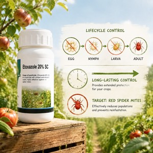 Bifenazate + Etoxazolo 45% SC <span class=keywords><strong>Acaricida</strong></span> Pesticida <span class=keywords><strong>per</strong></span> Fiori di Alberi da Frutto e Agrumi Contro Insetti e Uova di Tarme Rosse - Product Image 2