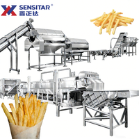 Lini Produksi Kentang Goreng Beku Sensitar Custom 3 T/h untuk Pabrik Pengolahan Kentang