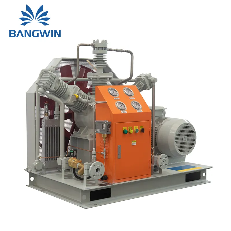 Bangwin All Oil Free compressore per Gas di scarico metano 50bar Booster di azoto Booster compressore stazionario ad alte prestazioni