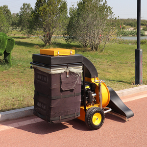 Máquina de Succión de Hojas de Alta Eficiencia BY-T2 de 5.5HP y 250L, Recolector de Hojas para Jardín y Carreteras Urbanas - Product Image 3