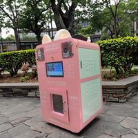 Machine de bain intelligente entièrement automatique pour animaux de compagnie, armoire de lavage pour chiens et chats en acier inoxydable 304 pour salle de bain
