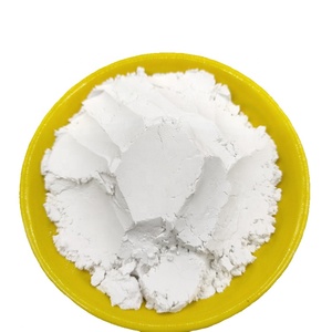 Polvere Bianca <span class=keywords><strong>di</strong></span> Diatomite <span class=keywords><strong>Terra</strong></span> <span class=keywords><strong>Diatomacea</strong></span> per Alimenti - Product Image 1