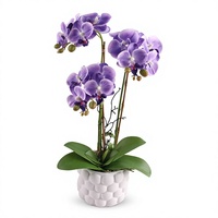 Blumen-Orchideen-Bausatz Künstliche Blumen Bonsai für Erwachsene Frauen Zimmerpflanzen Heim- und Bürodekoration Muttertag Geburtstagsgeschenk