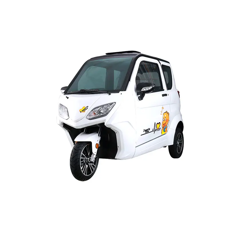 गर्म बिक्री के लिए नई आगमन के लिए 3000w बिजली Trike डिलिवरी सेवा ट्राइक