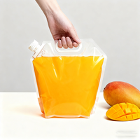 Sac souple personnalisé en PE de qualité alimentaire avec soufflet latéral et poignée pour bière, jus, vodka, whisky, tequila – Diverses tailles (500 ml-20 L)