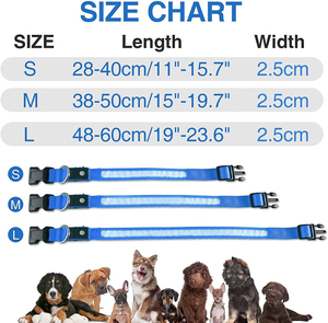 Collar Ajustable de Nailon para Perro con Luces LED Intermitentes, Diseño Sólido y Decoración de Cinta Luminosa, Venta al Por Mayor - Product Image 5