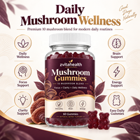Gummies de Champignons Crinière de Lion Marque Blanche – Complément Cérébral Nootropique pour la Concentration et la Mémoire 5000mg – Végétarien, Sans Gluten, OEM