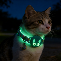 Collier pour animaux de compagnie en cuir artificiel confortable, lumineux et mignon avec support AirTag - Housse de protection anti-perte pour chats en promenade en extérieur