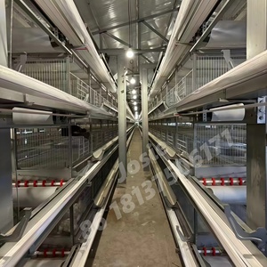 Cages pour poulets <span class=keywords><strong>de</strong></span> chair en forme <span class=keywords><strong>de</strong></span> H à trois couches élevages avicoles <span class=keywords><strong>de</strong></span> poules pondeuses Cadre en <span class=keywords><strong>cage</strong></span> <span class=keywords><strong>de</strong></span> <span class=keywords><strong>transport</strong></span> <span class=keywords><strong>de</strong></span> poulets Shougang - Product Image 3