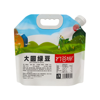 Pochettes souples personnalisées imprimées avec bec verseur pour emballage de liquides, tels que lessive, adoucissant, et boissons